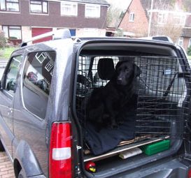 empire state k9 training